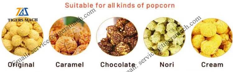 Factory Use Popcorn Forming Machine Manufacturer Price Factory Use Popcorn Forming Machine Manufacturer Price