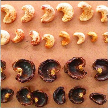 เครื่องปอกเปลือกเม็ดมะม่วงหิมพานต์อุตสาหกรรมขายในแอฟริกา - โมซัมบิก